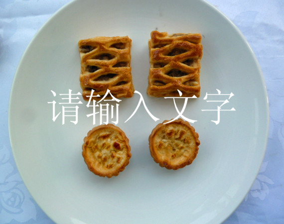 <b>假菜：饼干营养食品模型假菜</b>