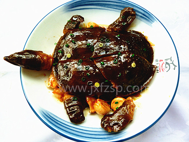 <b>仿真食品 红烧甲鱼模型</b>