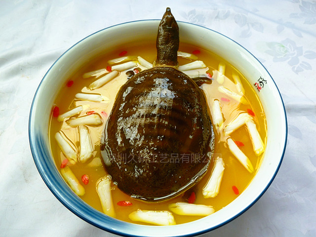 <b>菜模 滋补甲鱼汤模型</b>
