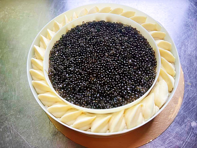 大马哈黑鱼籽酱蛋糕模型