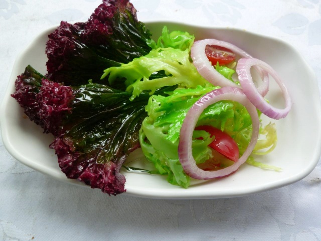 假菜时疏沙拉假菜模型