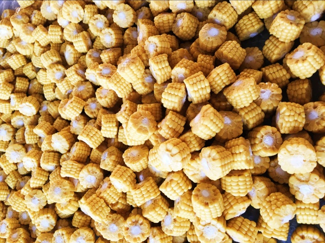 仿真玉米段食物模型